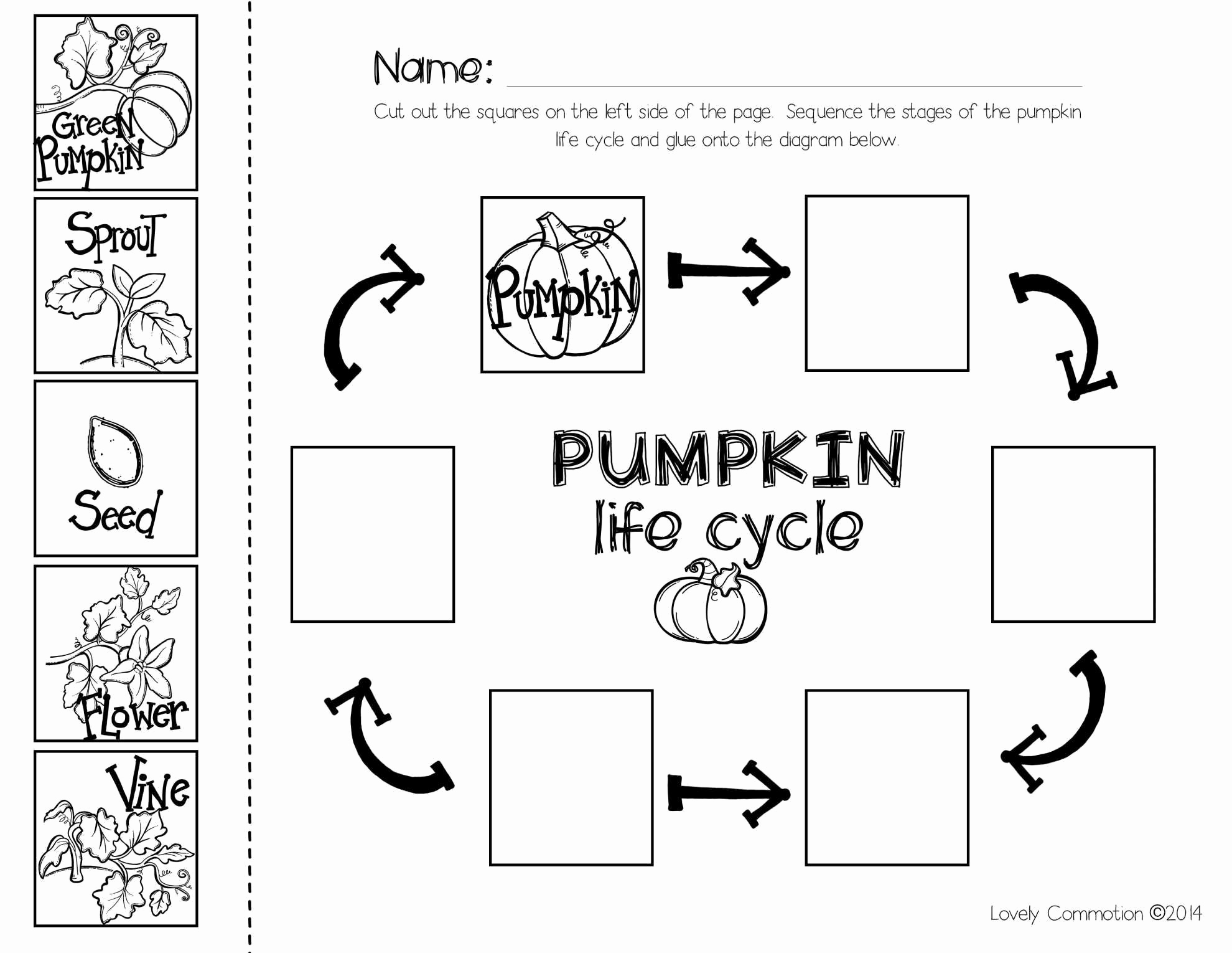 Sequencing Worksheets for Kindergarten Elegant 11 Pumpkin Sequencing Worksheet Preschool