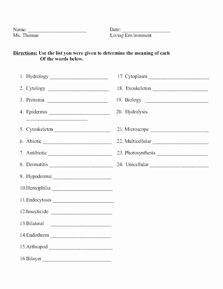 Suffix Worksheets for 4th Grade Awesome 25 Scientific Notation Chemistry if8766