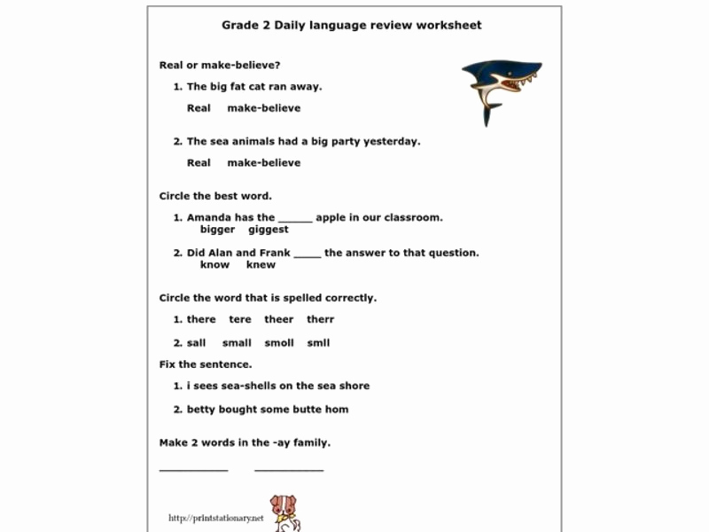 Summary Worksheets 2nd Grade Elegant Grade 2 Daily Language Review Worksheet Worksheet for 2nd