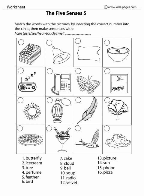 The Five Senses Worksheets Fresh Five Sense Worksheet New 752 Five Senses Worksheets Printable
