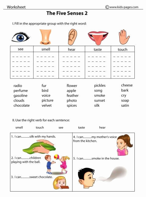 The Five Senses Worksheets New the Five Senses 2 Worksheets