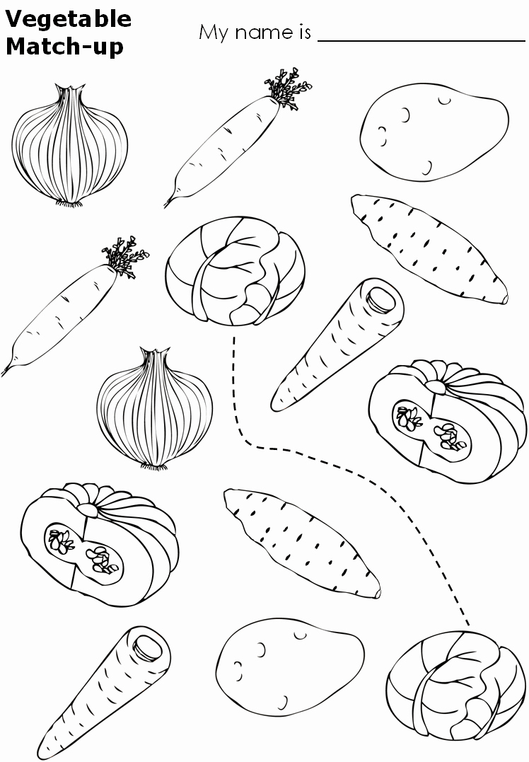 Vegetable Worksheets for Preschool Elegant Preschool Ve Able Worksheets Sketch Coloring Page